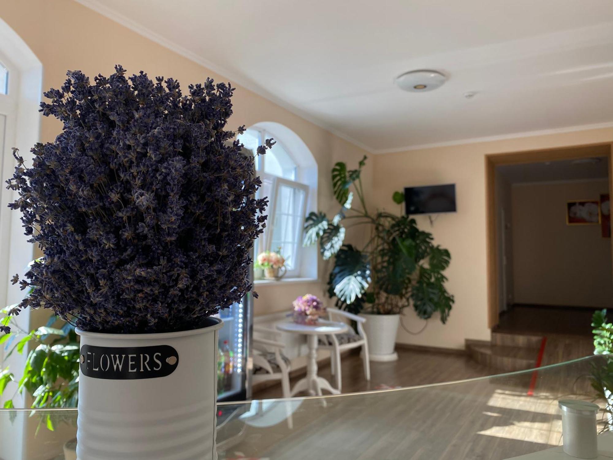 Орхідея Hotel Romny Bagian luar foto