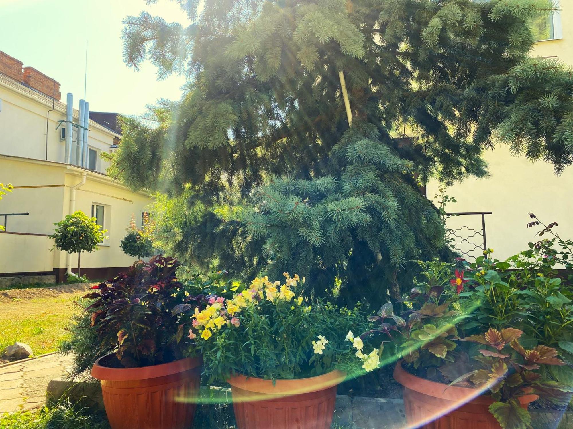 Орхідея Hotel Romny Bagian luar foto
